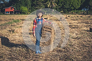 Children helping sweep haystack to pile in rice field of organic farm