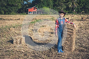 Children helping sweep haystack to pile in rice field of organic farm