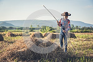 Children helping sweep haystack to pile in rice field of organic farm