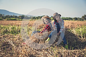 Children helping sweep haystack to pile in rice field of organic farm