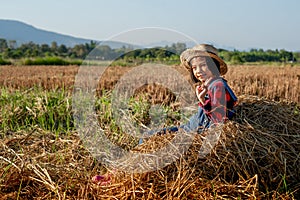 Children helping sweep haystack to pile in rice field of organic farm