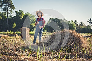 Children helping sweep haystack to pile in rice field of organic farm