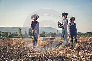 Children helping sweep haystack to pile in rice field of organic farm