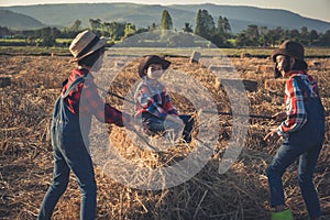 Children helping sweep haystack to pile in rice field of organic farm