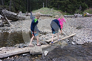 Children Hike Beach Logs