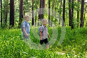 Children hiking outdoor