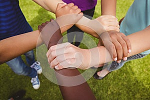 Children holding hands together at park