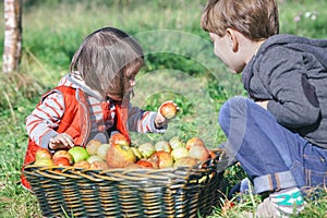 Children holding organic apple from basket with