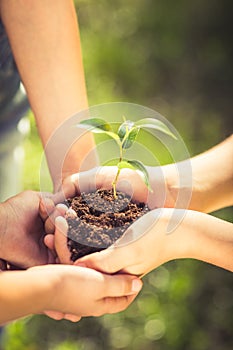 Children holding young plant in hands