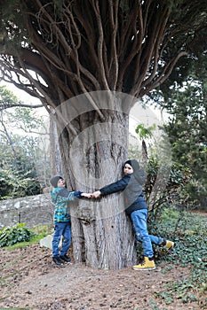 Children hugging cypress tree in Gurzuf park