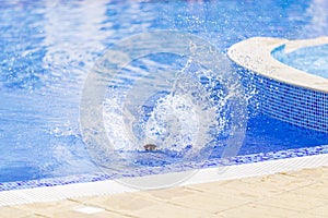 Children jump, swim and play in the pool on a beautiful sunny summer day.