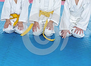 Children in kimono are sitting on tatami