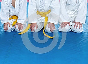 Children in kimono are sitting on tatami