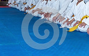 Children in kimono are sitting on tatami