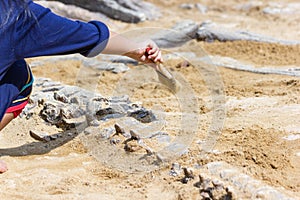 Children learning about, Excavating dinosaur fossils simulation