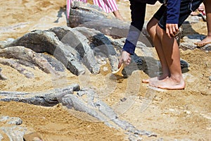Children learning about, Excavating dinosaur fossils simulation