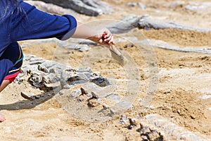 Children learning about, Excavating dinosaur fossils simulation photo