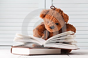 Children learning, teddy and books