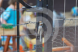 Children locked in playground, metal gate and grid.