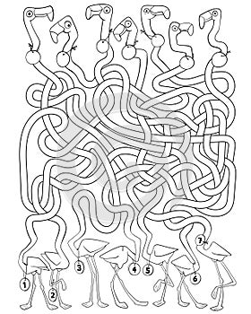 Children logic game to pass the maze. Funny flamingos with long, tangled necks