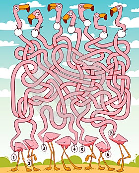Children logic game to pass the maze. Funny flamingos with long, tangled necks