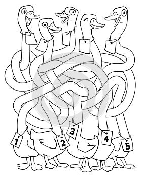 Children logic game to pass the maze. Funny geese with long, tangled necks