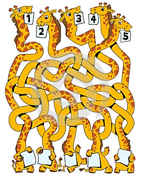 Children logic game to pass the maze. Funny giraffes with tangled necks