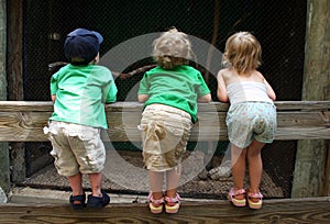 Children Looking over a Fence