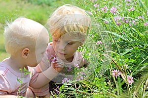 Children Looking at Wildflowers