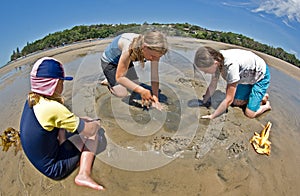 children making sand castles
