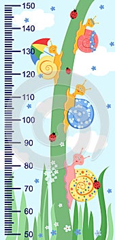 Children meter wall with a cute smiling cartoon snail and measuring ruler.