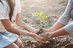 children and mom helping planting young tree. eco concept