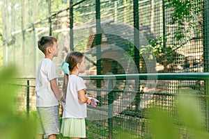 Children observe a cage with birds in the zoo. The girl is holding a notebook and taking notes