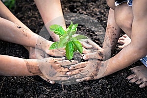 Children and parent hand planting young tree on black soil