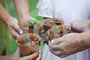 Children and parent hands holding young seedlings in recycle fiber pots together for planting in garden