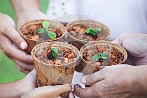 Children and parent hands holding young seedlings in recycle fiber pots together for planting in garden