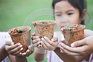 Children and parent hands holding young seedlings in recycle fiber pots together for planting in garden