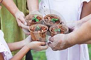 Children and parent hands holding young seedlings in recycle fiber pots together for planting in garden