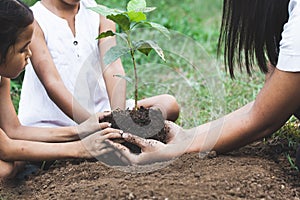 Children and parent hands planting young tree on black soil together