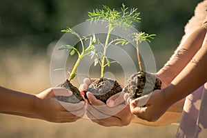 Children and parent holding young plant in hands