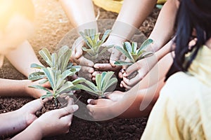 Children and parent holding young tree in hands for planting