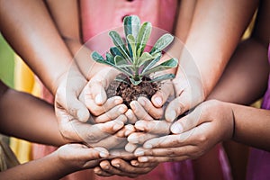 Children and parent holding young tree in hands for planting