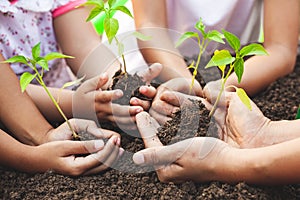 Children and parent holding young tree in hands for planting in black soil together