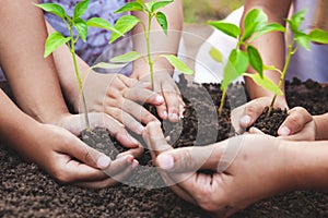 Children and parent holding young tree in hands for planting in black soil together