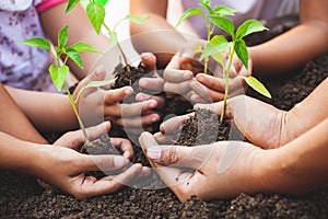 Children and parent holding young tree in hands for planting in black soil together