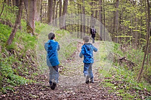 Children on a path in spring forest