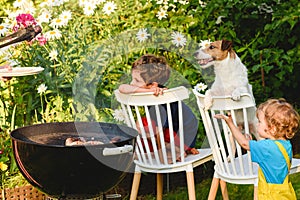 Children and pet dog loking at meat grilling during outdoor bbq party in garden on sunny summer day