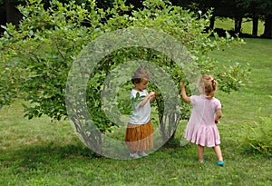 Children Picking Berries