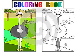 Children picture cartoon animal Safari. The common ostrich is walking in the clearing. Vector Coloring, black and white