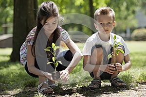 Children planting